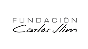 fundacion carlos slim